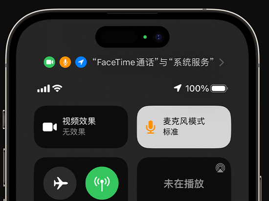 嘉鱼苹果授权维修网点分享iPhone在通话时让你的声音更清晰 