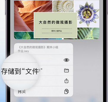 嘉鱼apple维修中心分享iPhone文件应用中存储和找到下载文件