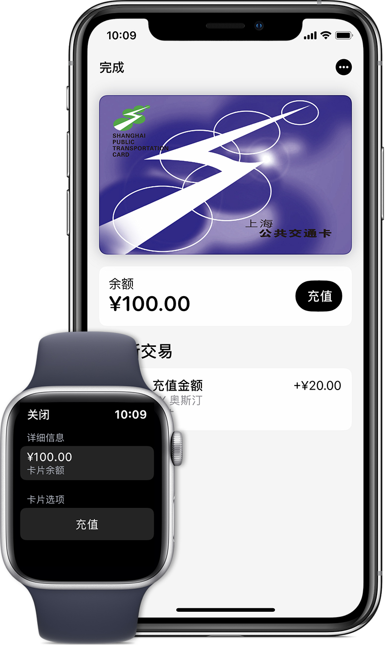 嘉鱼苹果手机维修分享:用 Apple Pay 刷交通卡有哪些优势？如何设置和使用？ 