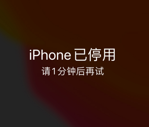 嘉鱼苹果手机维修分享:iPhone 显示“不可用”或“已停用”怎么办？还能保留数据吗？ 