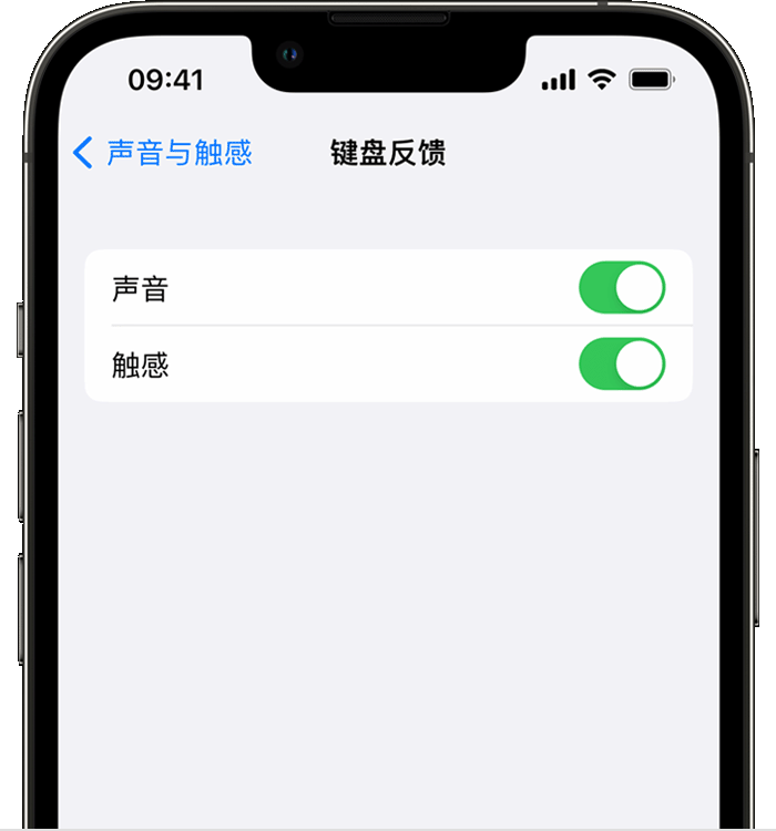 嘉鱼苹果14维修店分享如何在 iPhone 14 机型中使用触感键盘 