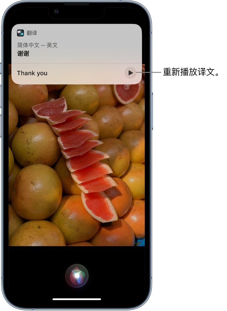 嘉鱼苹果14维修分享 iPhone 14 机型中使用 Siri：了解 Siri 能帮你做什么 