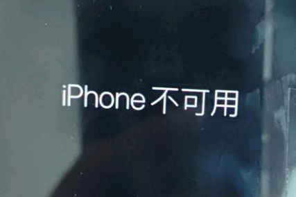 嘉鱼苹果服务网点分享锁屏界面显示“iPhone 不可用”如何解决 