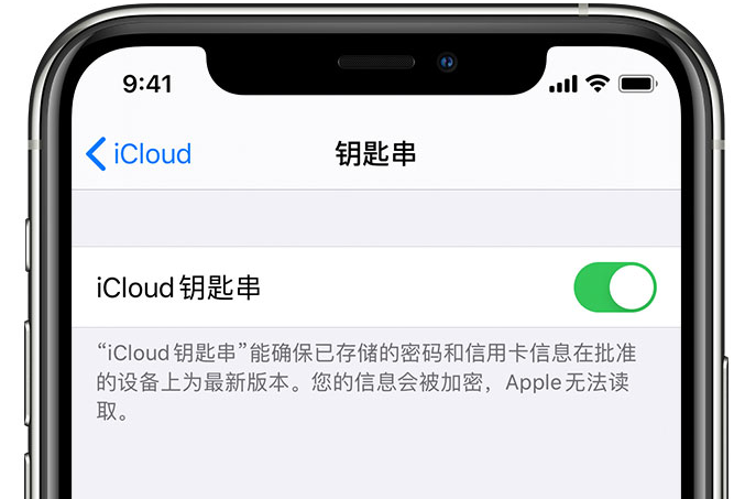 嘉鱼苹果手机维修分享在 iPhone 上开启 iCloud 钥匙串之后会储存哪些信息 