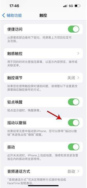 嘉鱼苹果手机维修分享iPhone手机如何设置摇一摇删除文字 