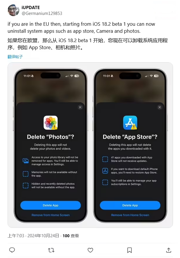 嘉鱼苹果手机维修分享iOS 18.2 支持删除 App Store 应用商店 