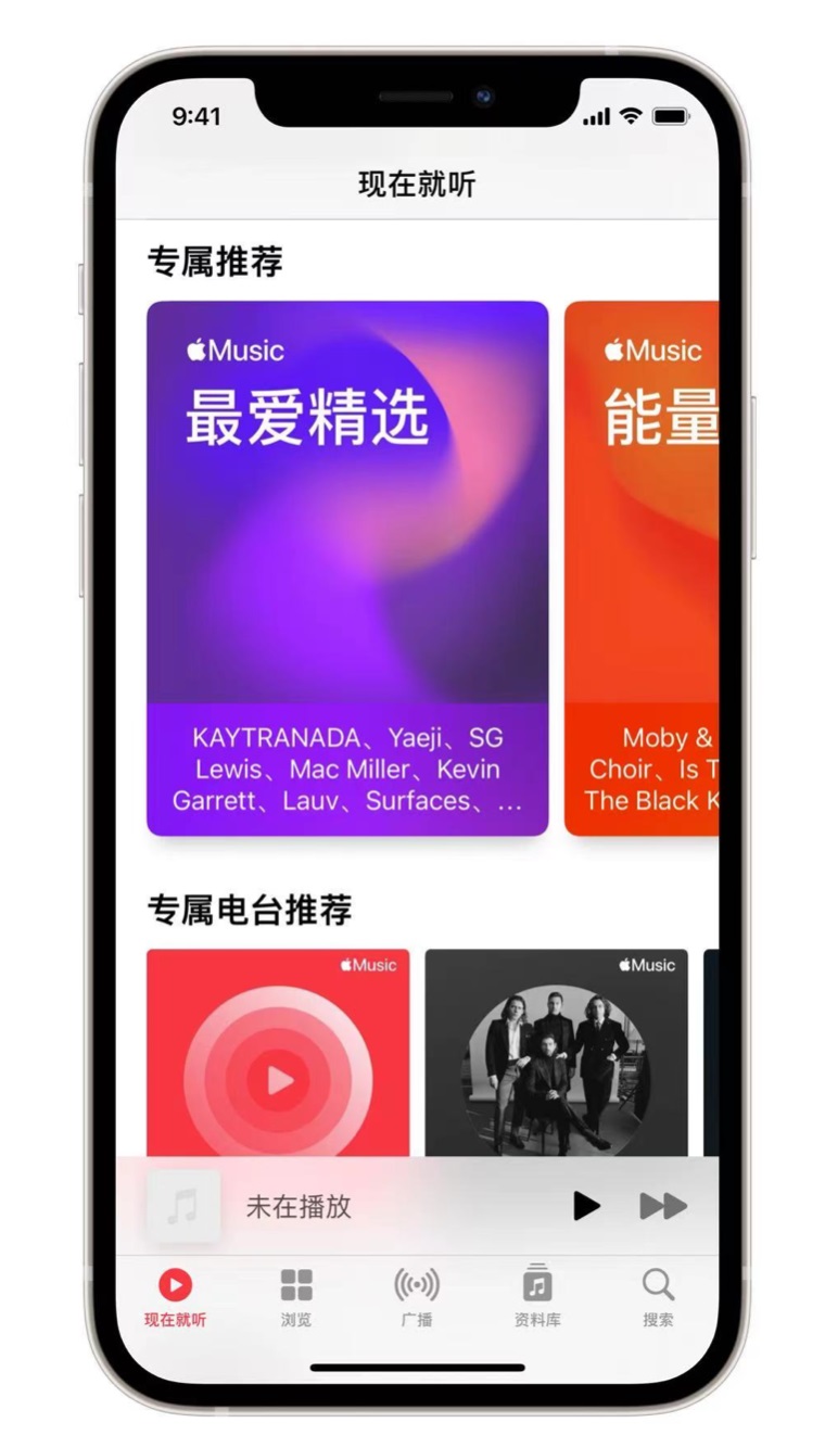 嘉鱼苹果手机维修分享iOS 14.5 Apple Music 新功能 